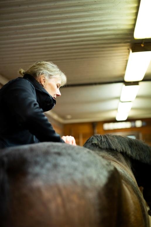 Hästfys & Sadel - Bild 2